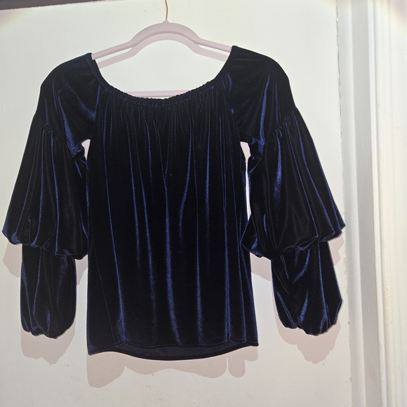Petersyn Midnight Blue Velvet- Womens Blouse Size M - Picture 3 of 12